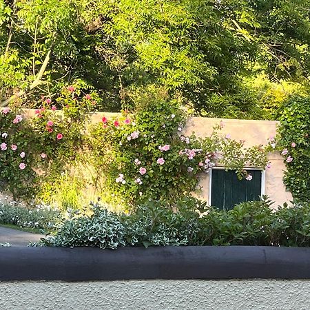 مبيت وإفطار لارن Old Mill House المظهر الخارجي الصورة