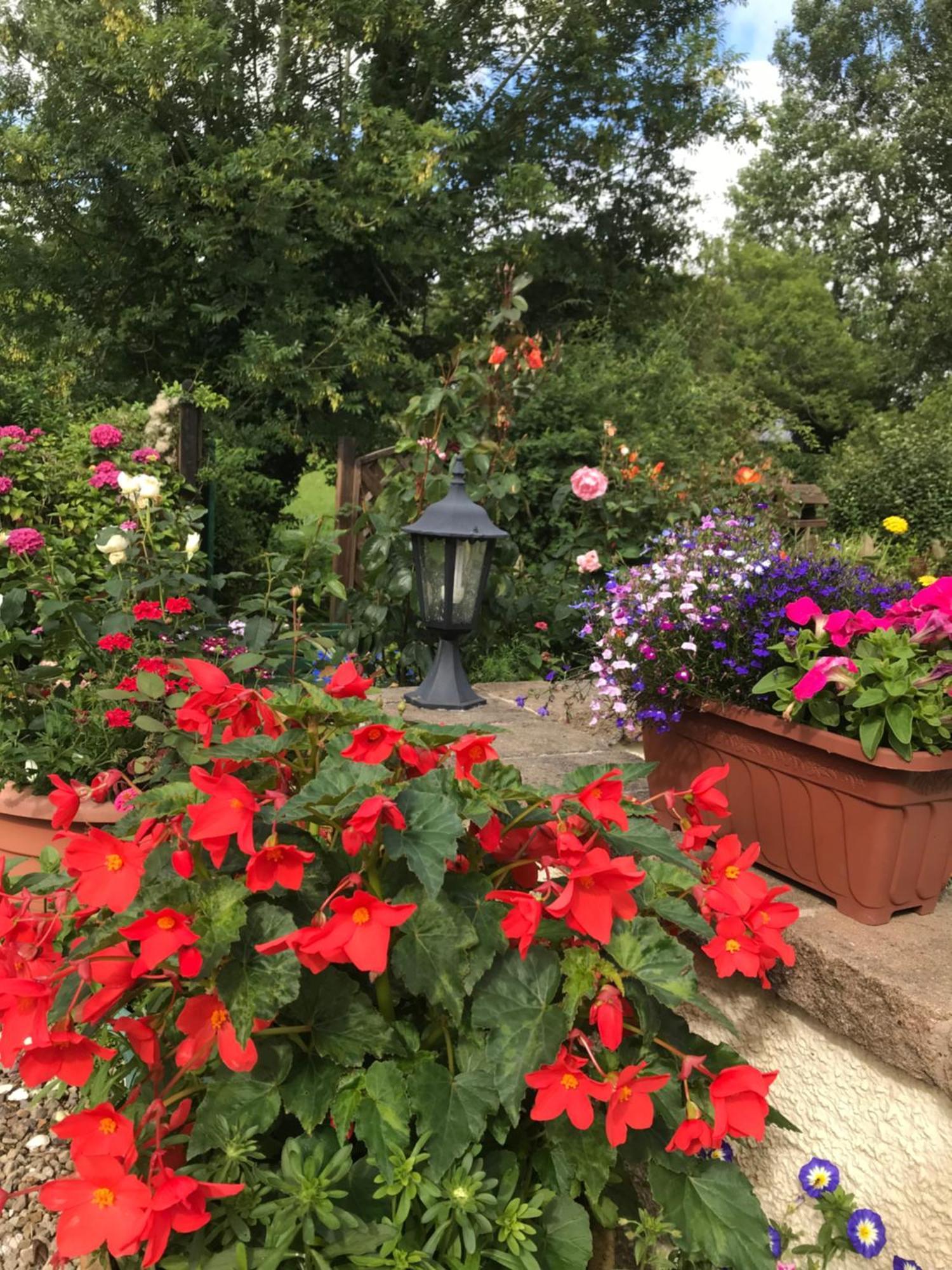 مبيت وإفطار لارن Old Mill House المظهر الخارجي الصورة