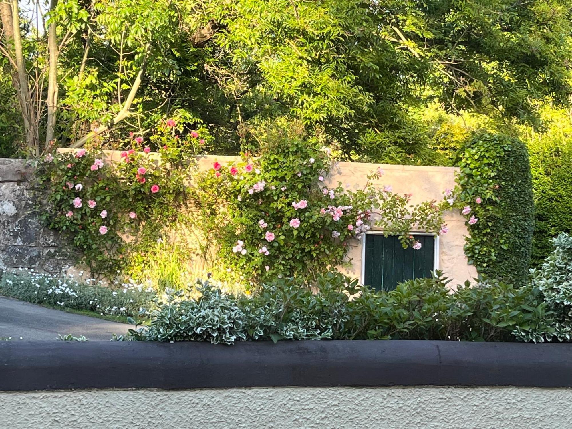مبيت وإفطار لارن Old Mill House المظهر الخارجي الصورة